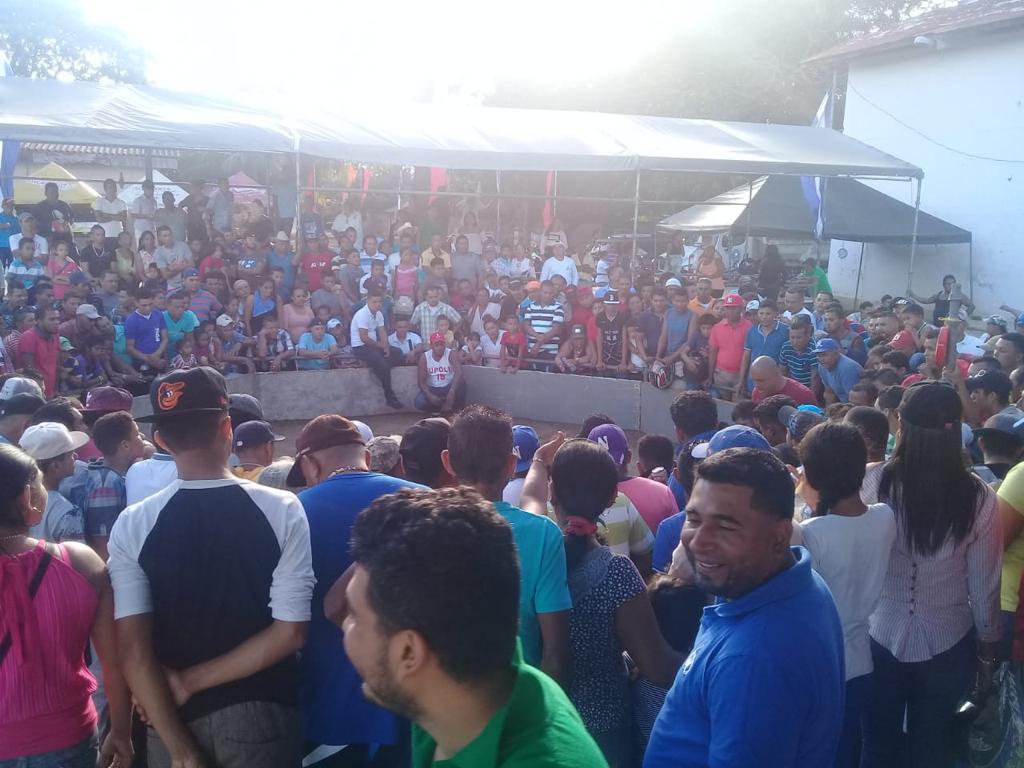 gallos1